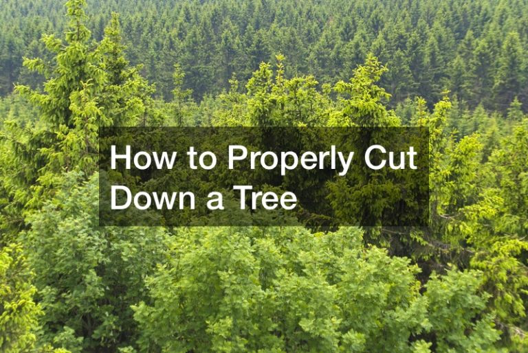 How to Properly Cut Down a Tree