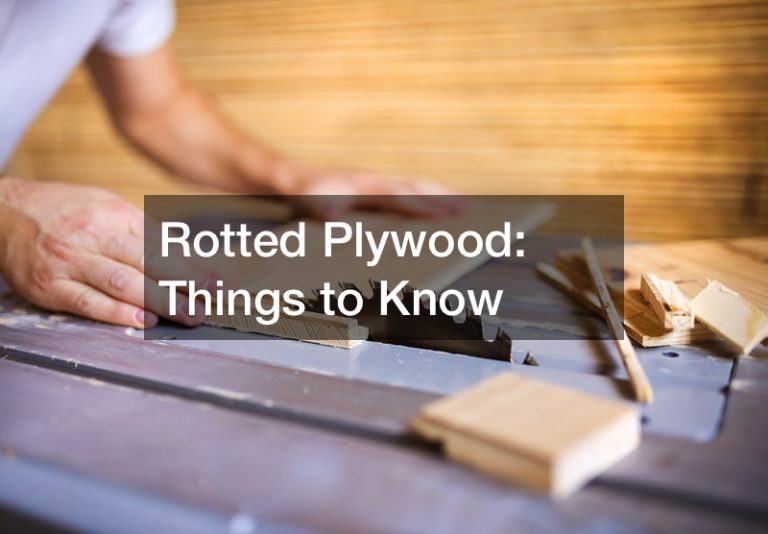 Replacing Rotted Plywood in Your Home