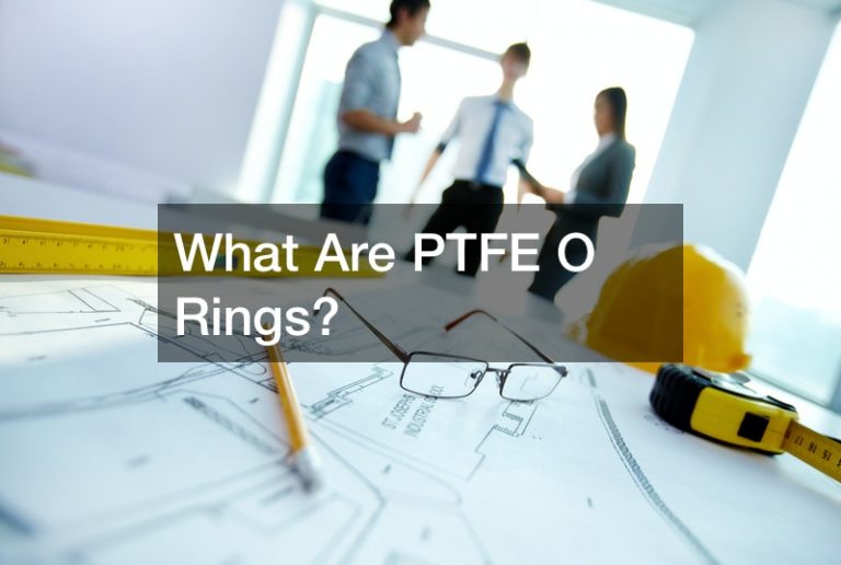 What Are PTFE O Rings?