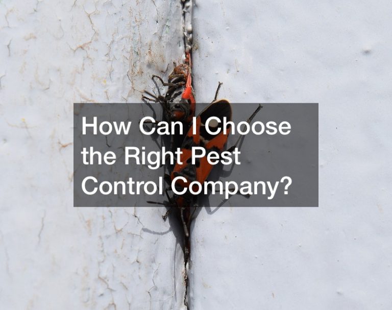 How Can I Choose the Right Pest Control Company?