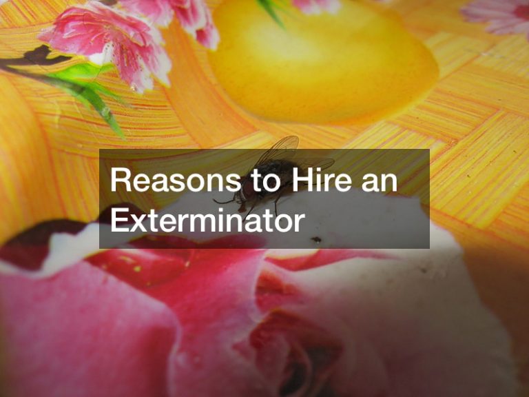 Reasons to Hire an Exterminator