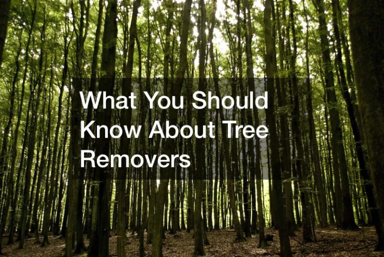 What You Should Know About Tree Removers
