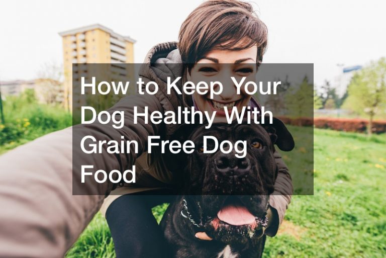 How to Keep Your Dog Healthy With Grain Free Dog Food