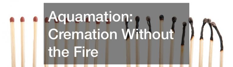 Aquamation  Cremation Without the Fire