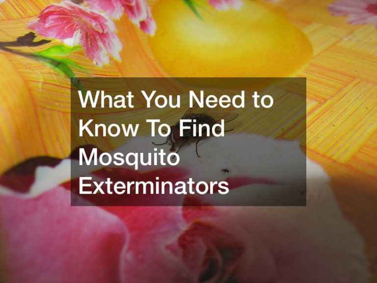 What You Need to Know To Find Mosquito Exterminators