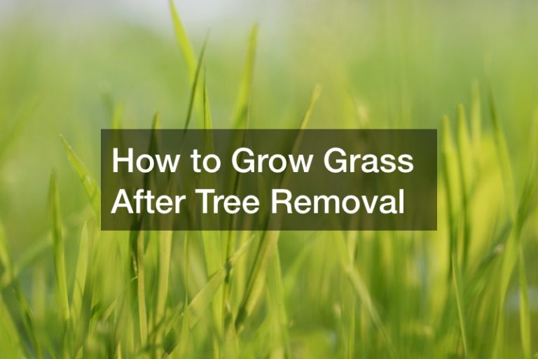 How to Grow Grass After Tree Removal