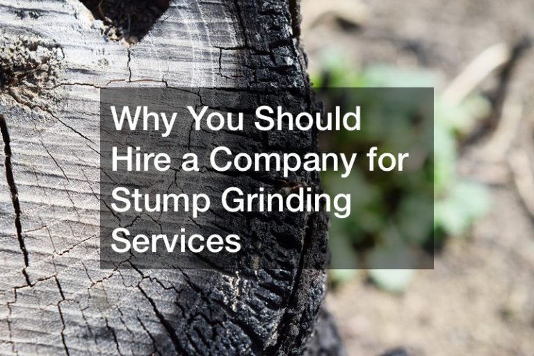 Why You Should Hire a Company for Stump Grinding Services
