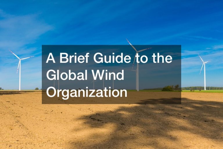 A Brief Guide to the Global Wind Organization