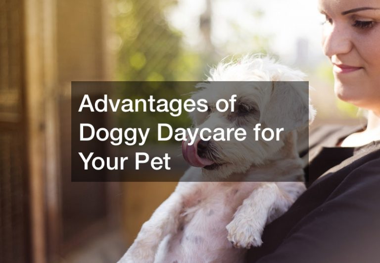 Advantages of Doggy Daycare for Your Pet