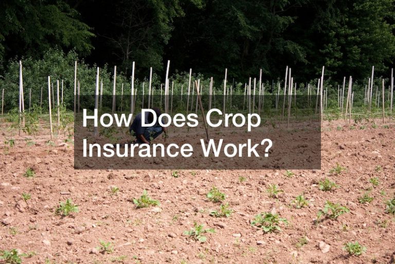 How Does Crop Insurance Work?