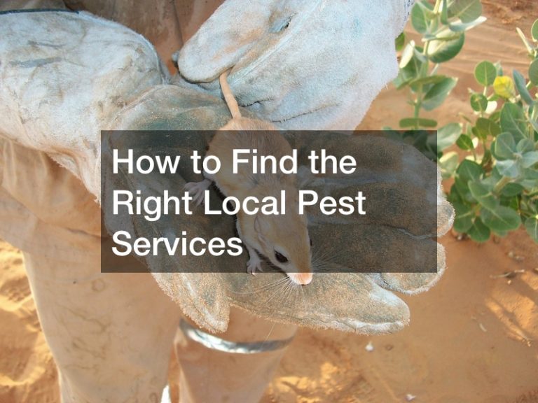 How to Find the Right Local Pest Services