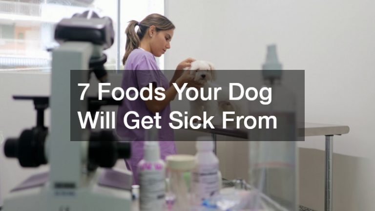 7 Foods Your Dog Will Get Sick From